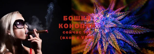 сатива Елабуга