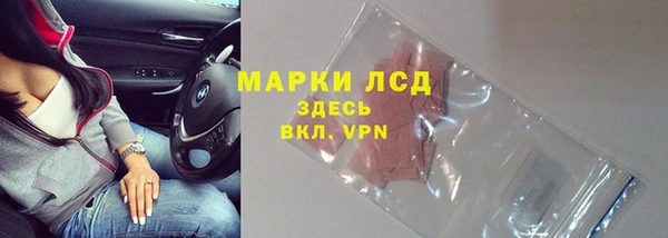 спиды Ельня