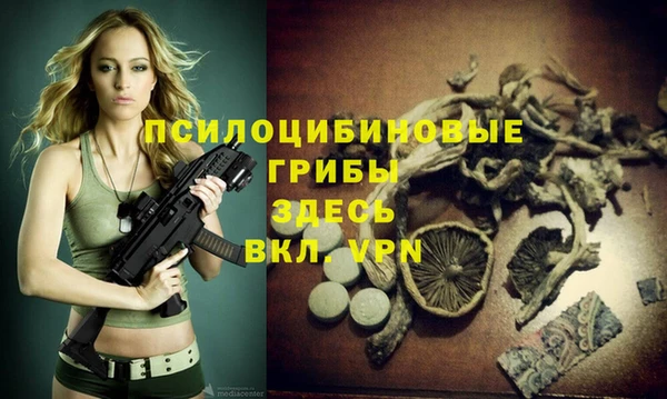 прущий лед Елизово