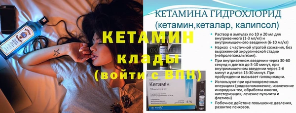 трава Верея