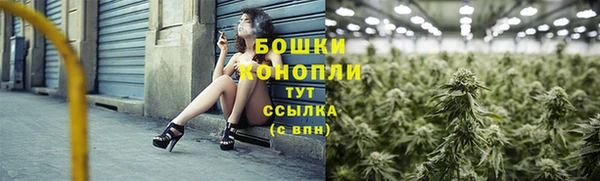 трава Верея