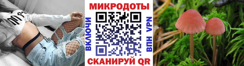Псилоцибиновые грибы Psilocybe  Можайск 