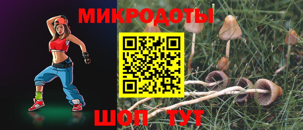 Псилоцибиновые грибы Psilocybine cubensis  Вход с VPN  Можайск 